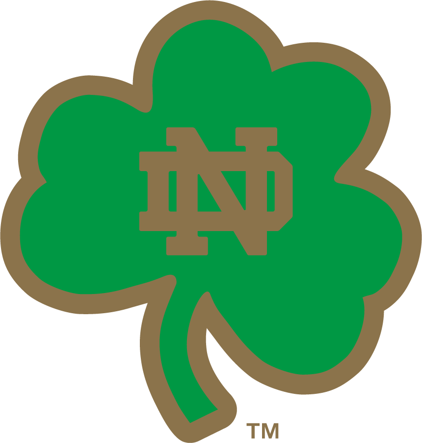 Notre Dame Fighting Irish 2006-2015 Secondary Logo iron on transfers for T-shirts